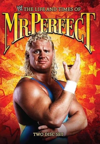 The Life and Times of Mr. Perfect (2008) extra-torrent