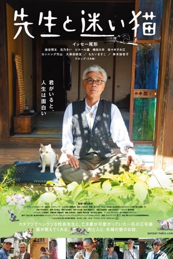 Teacher and Stray Cat (2015) extra-torrent