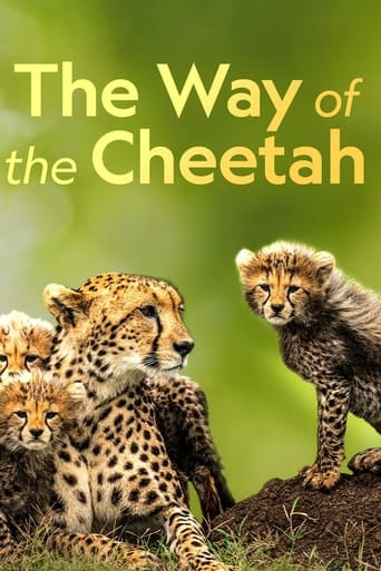 Big Cat Week The Way of the Cheetah (2022) extra-torrent