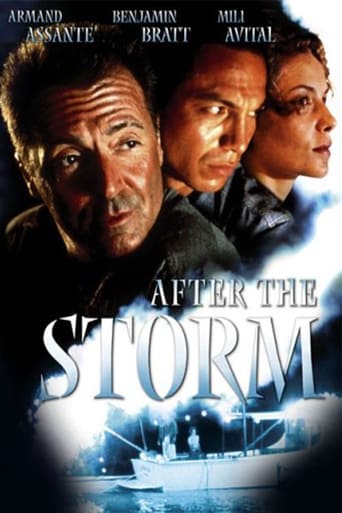 After the Storm (2001) extra-torrent