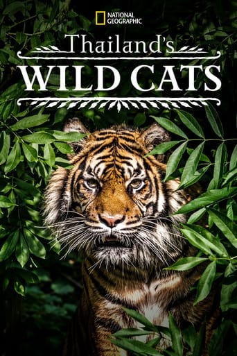Thailand's Wild Cats (2021) extra-torrent