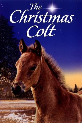 The Christmas Colt (2013) extra-torrent