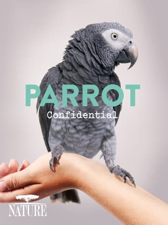Nature Parrot Confidential (2013) extra-torrent