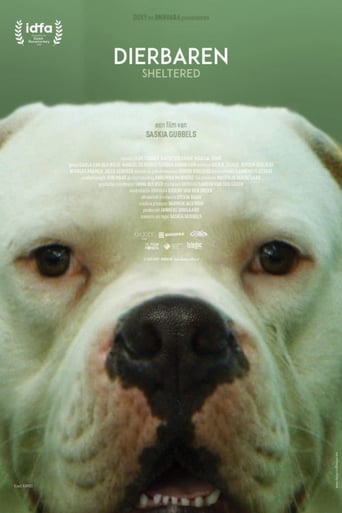 Sheltered (2020) extra-torrent