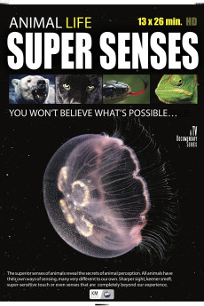 Super Senses