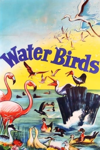 Water Birds (1952) extra-torrent