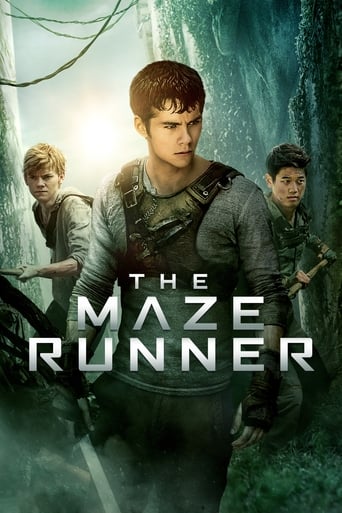 The Maze Runner (2014) extra-torrent