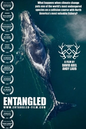 Entangled: The Race to Save Right Whales from Extinction (2020) extra-torrent