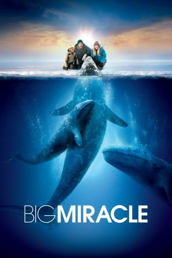Big Miracle (2012) extra-torrent